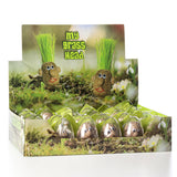 Egg Grass Head